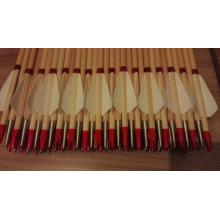 Arrows Base 01 for order