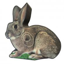 2D Rabbit coloured