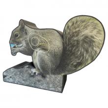 2D Squirrel coloured