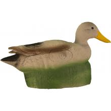 3D Duck Eleven
