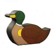 2D Wild Duck colored